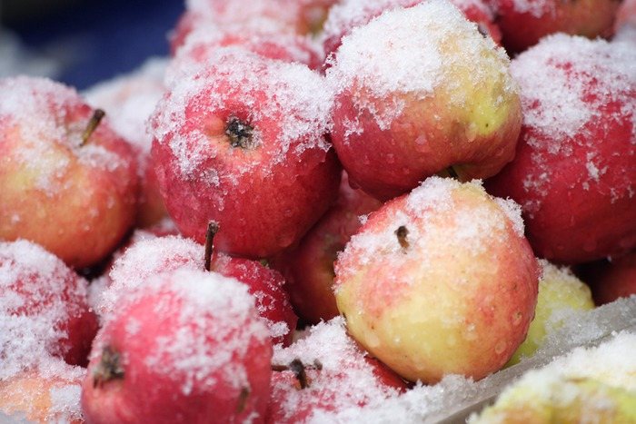 congeler des pommes