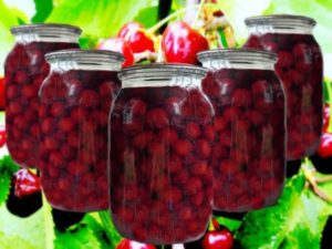 Jednoduchý recept na cherry kompót na zimu na trojlitrovej nádobe