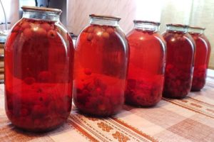 TOP 10 paprastų raudonųjų paukščių vyšnių kompoto gaminimo receptų