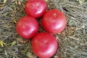 Eigenschaften und Beschreibung der Tomatensorte Himbeerring, deren Ertrag