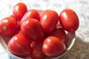 De mest produktiva lågväxande och omättade söta tomaterna från Nepas-serien