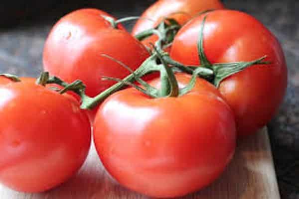 tomaatin haara