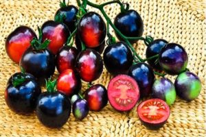 „Black Bunch“ pomidorų veislės charakteristikos ir aprašymas, derlius