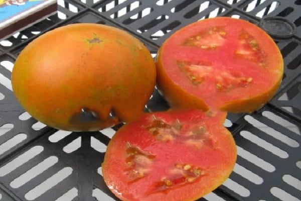 Nytårs tomat