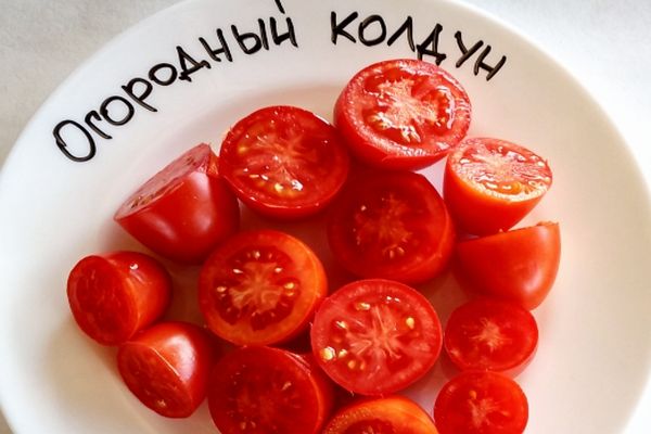 Tomaten Garten Zauberer