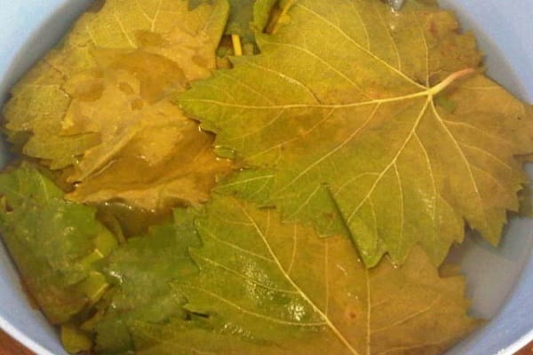 Recettes pour mariner les feuilles de vigne pour l'hiver