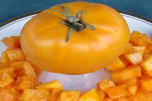 Περιγραφή της ποικιλίας ντομάτας Gilded belyash και των χαρακτηριστικών της