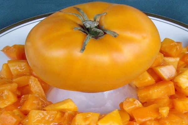 yaldızlı belyash domates