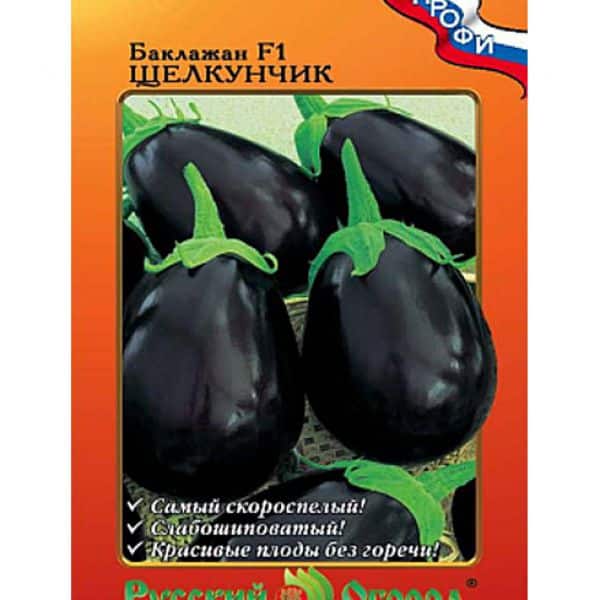 Nötknäppare aubergine