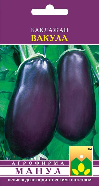 Vakula aubergine