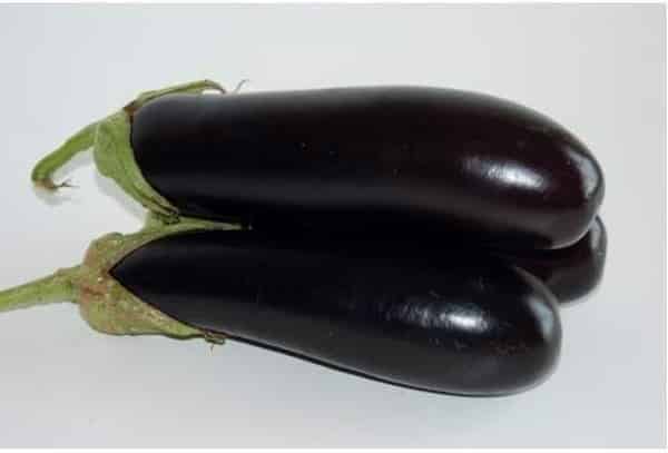 destan aubergine