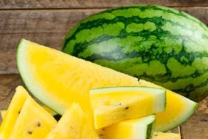 Finns det vattenmeloner med gul massa inuti, vad heter sorten och egenskaperna för odling