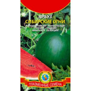 Beskrivning av vattenmelonsorten Siberian Lights, odlingsteknik, plantering och skötsel
