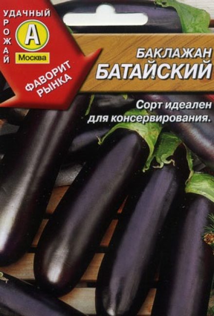Baltisk aubergine