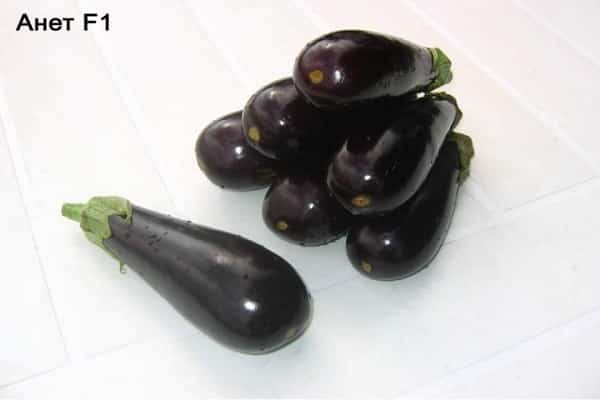 egenskaper hos aubergine