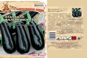 Beskrivning och egenskaper för valentins aubergine, odling och vård