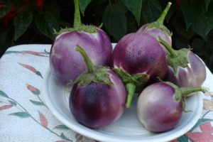 De bästa sorterna av aubergine för växthus och öppen mark i Leningrad-regionen med en beskrivning