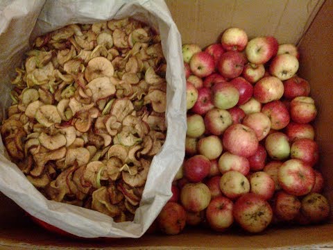 secar manzanas