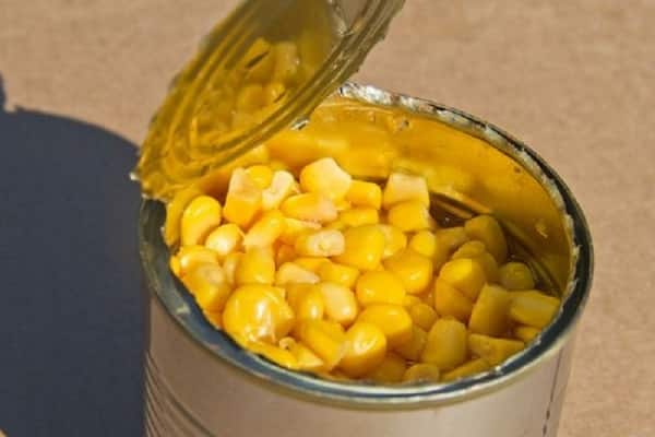 maïs in een pot