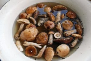 TOP 10 recepten om thuis eenvoudig champignons te zouten, warm en koud