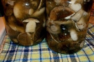 Hoe espaddestoelen te zouten en in te zouten, recepten voor de winter in potten