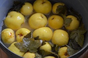 Einfache Schritt-für-Schritt-Rezepte für die Herstellung von ganzen eingelegten Äpfeln und Scheiben