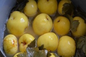 Receptes ziemā iemērcētu ābolu pagatavošanai mājās burkās