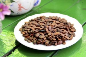 I benefici e i rischi dei semi di anguria ed è possibile mangiarli, usarli in medicina e cosmetologia