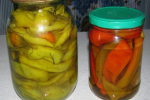 TOP 10-recept för att laga mat kryddig peppar för vintern, med och utan sterilisering