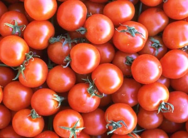 ripe tomatoes