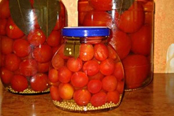 tomaten in een kleine pot