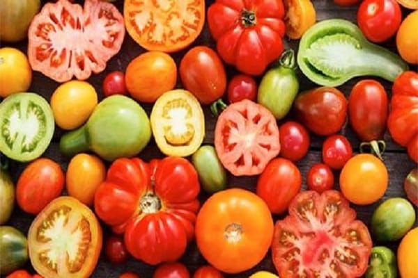 pomidorai iš pradžių