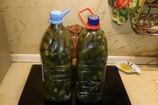 bottiglia da un litro
