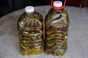 Stapsgewijze recepten voor ingelegde komkommers in plastic flessen voor de winter, opslag