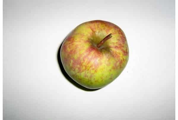 Kutuzovets äpple