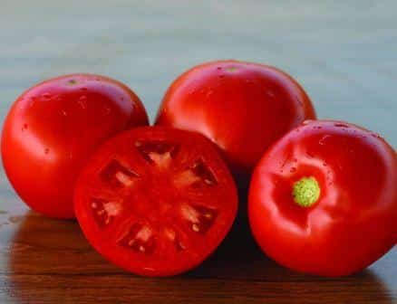 dojrzałe pomidory