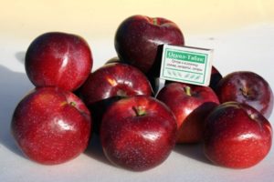 Περιγραφή και χαρακτηριστικά της ποικιλίας μήλου Williams Pride, πόσο συχνά έχει καρπούς και περιοχές καλλιέργειας