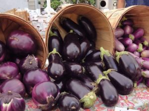 De mest populära och produktiva varianterna av aubergine för odling i det öppna fältet och reglerna för att välja frön