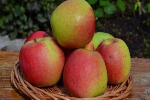 Beskrivning av Scala äpplesort, de viktigaste egenskaperna och recensionerna av trädgårdsmästare