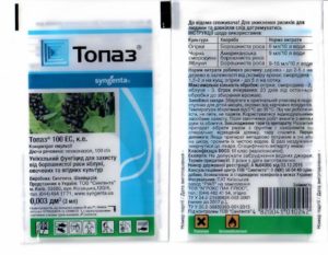 Instruktioner för användning av fungiciden Topaz för bearbetning av druvor under våren och hösten och väntetider