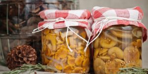 Eenvoudige stapsgewijze recepten om thuis champignons in potten voor de winter te zouten
