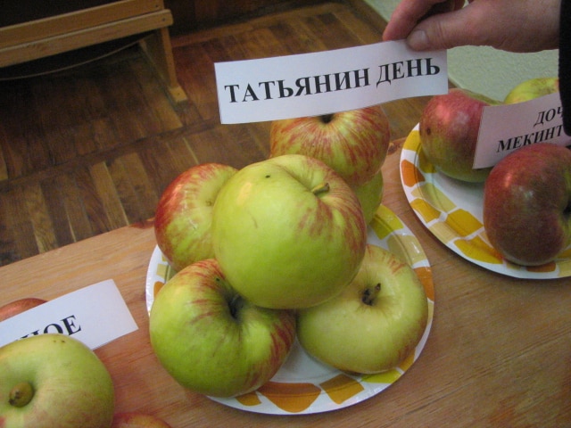 den tatiany jabloní
