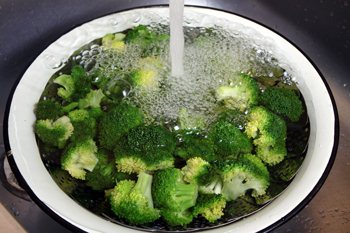 brocoli frais