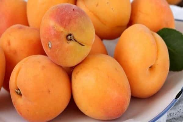 hälsosam aprikos