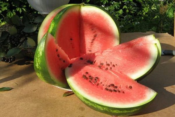 beskrivning av vattenmeloner
