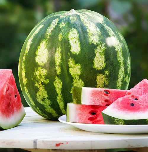frische Wassermelone