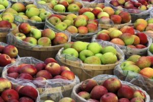 Kaip namuose išlaikyti obuolius šviežius