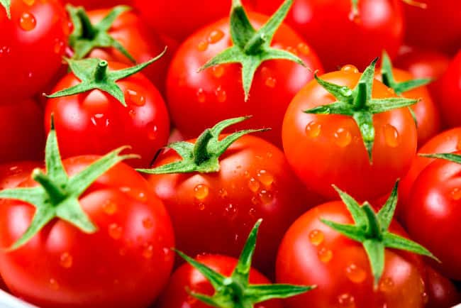 modne tomater