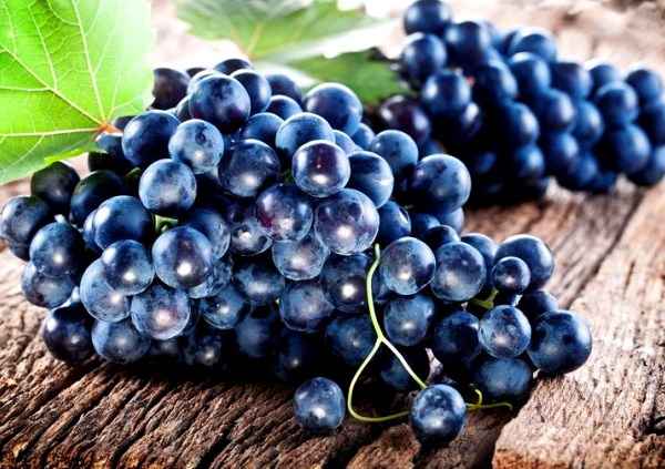 Juodosios vynuogės