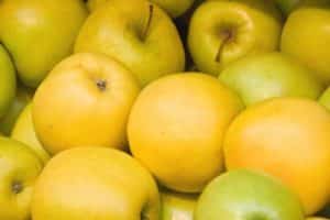 Rudens-žiemos obuolių veislės Limonka aprašymas ir pagrindinės savybės